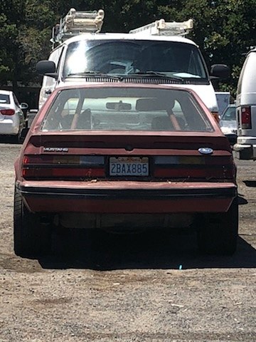 Maroon 1980s Ford Mustang parked on gravel